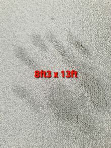 carpet 8ft3 x 13ft