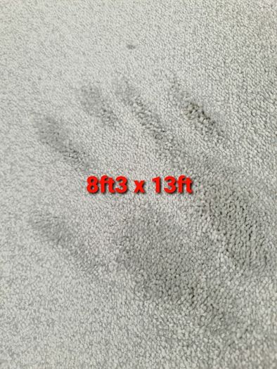 carpet 8ft3 x 13ft