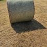 Hay Bales (Round) Image 2
