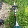 Park side strimmer Image 3