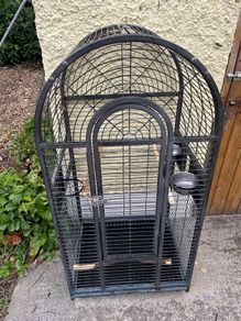 parrot cage