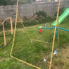 rebounder