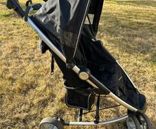 Buggy