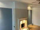 Professional Painting & Handyman Service - Dublin Image 3