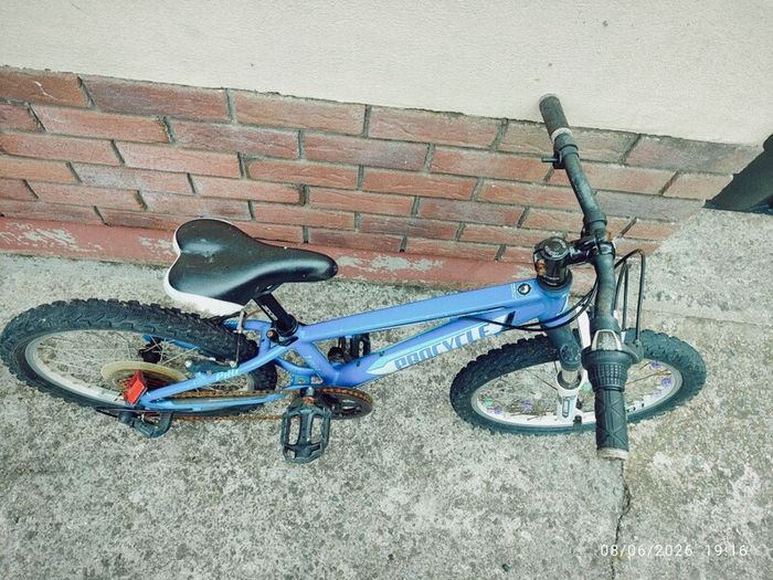 Procycle Maverick 20" Kids Bike  Project, For Parts