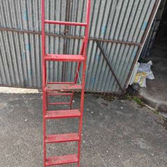 step ladder