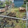 dog/ chicken  run Image 2