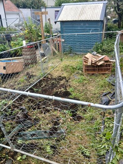 dog/ chicken  run