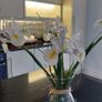 Cream High Gloss Kitchen Image 9