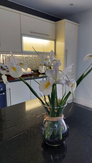 Cream High Gloss Kitchen