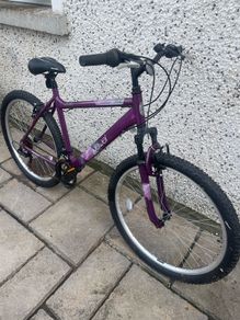 ladies bike