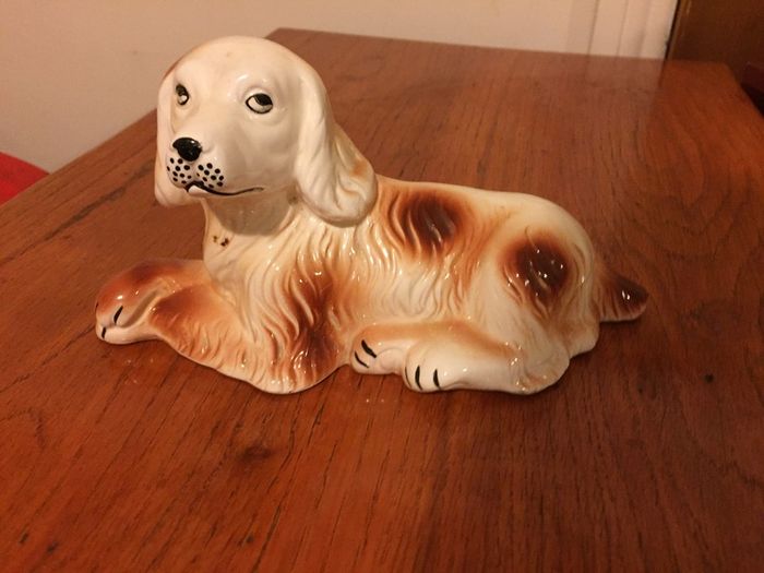 Dog with cute eyes