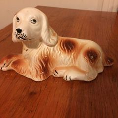 Dog with cute eyes