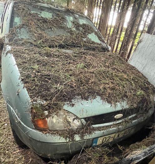ford fiesta parts