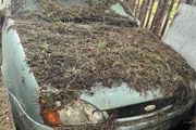 ford fiesta parts