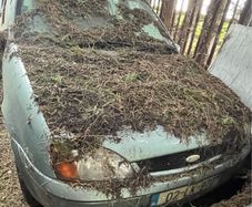 ford fiesta parts