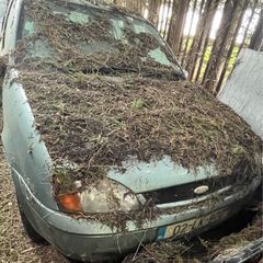 ford fiesta parts