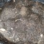 Description: Job lot of vintage horsehair and natural upholstery stuffing, split across 8.5 black bin bags. Image 8