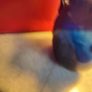 Tow Handles Small Blue Glass Vase Image 8