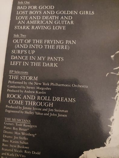 Jim Steinman - Bad for Good - 1981 vinyl LP