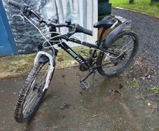 Bicke