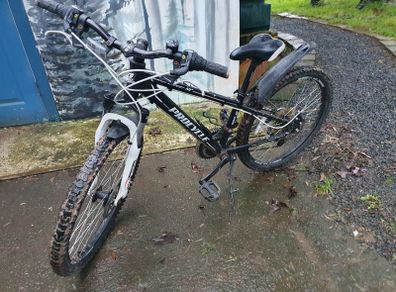 Bicke