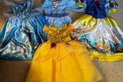 Selection of Disney Princess dresses