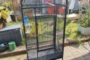 large bird cage