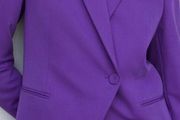 Mango Voilet Blazer. New
