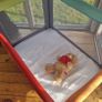 Playpen Excellent Condition Image 10