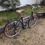 Trek Allant Trekking Bike Image 3