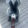 Kids Bike Seat and helmet Image 3