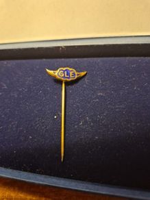 Vintage RAOB Order of Buffaloe Lapel Tie Stick Pin Badge Blue Enamel