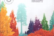 Berliner Philharmoniker, Nikolaus Harnoncourt 5 SACD Boxset - Franz Schubert Symphonien 1-8