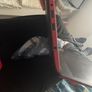laptop Image 4