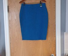 Dunnes A-line Skirt. B.N.W.T .14-16.