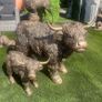 Outdoor Garden Statues Image 2