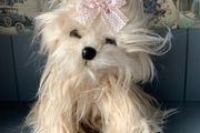 TY Bear Bixie The Dog