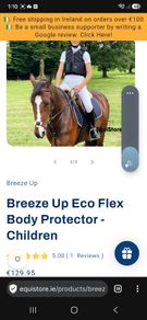Horse riding body protector