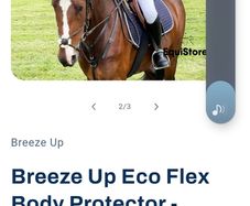 Horse riding body protector