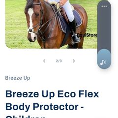 Horse riding body protector