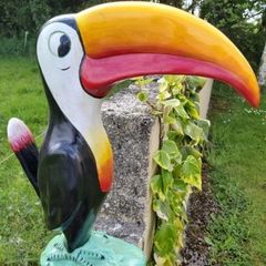 extra large Guinness toucan