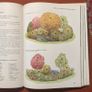 Garden design book Image 4