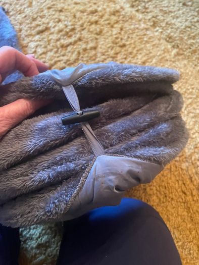 Cat Tunnel and Bed