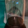 Pair of glass cloche (bells) on wooden bases. New Image 3