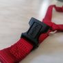 Dog Harness Image 3
