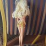 1999 Zoo doctor barbie Image 4