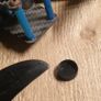 5-inch freestyle or drone.  Rotor Riot kit Image 6