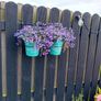 Plant Wall hanger 6 for 15 euro Image 2