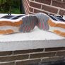 Ladies Brooks running/walking trainers size 7.5/8 Image 4